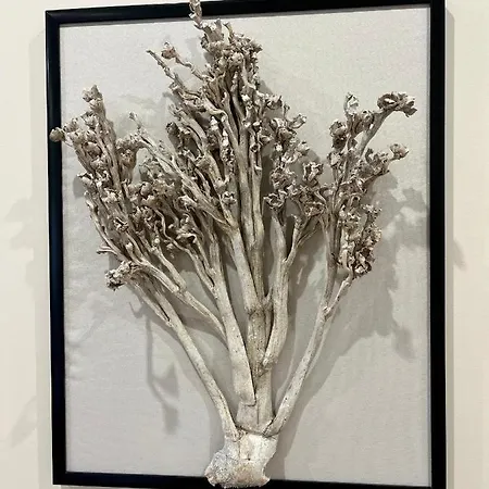 Kamienica Arte 4 アパート ウストカ