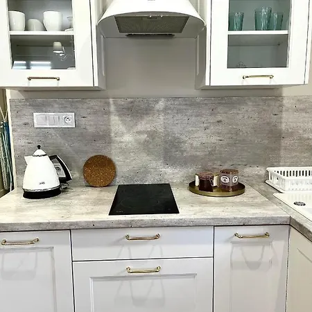 アパート Kamienica Arte 4