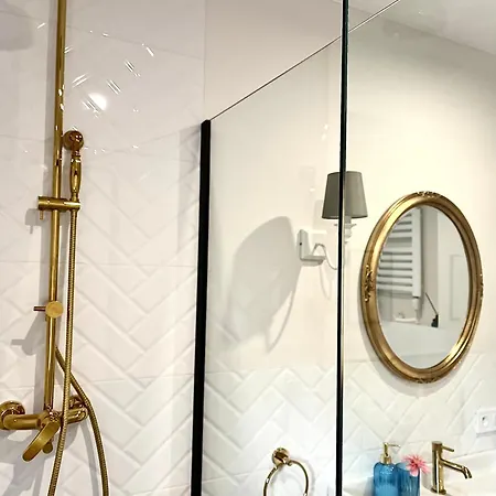 Kamienica Arte 4 Daire